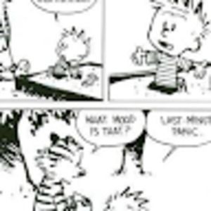 Meet your Posher, Megha